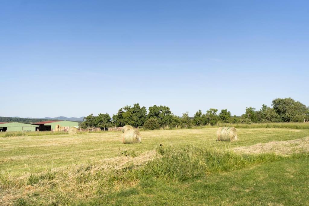 Maison A La Campagne 6 Personnes Zutzendorf 外观 照片
